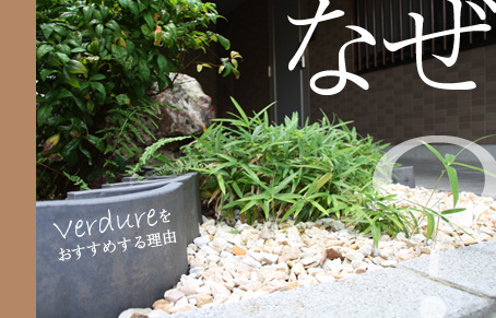 verdureをオススメする理由